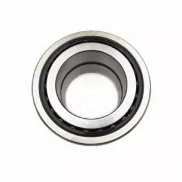 0.984 Inch | 25 Millimeter x 2.441 Inch | 62 Millimeter x 0.669 Inch | 17 Millimeter  NSK NU305M  Cylindrical Roller Bearings