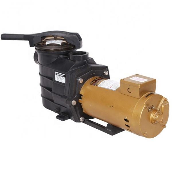 REXROTH PVQ21-1X060-018RA15DLMB Vane pump #1 image