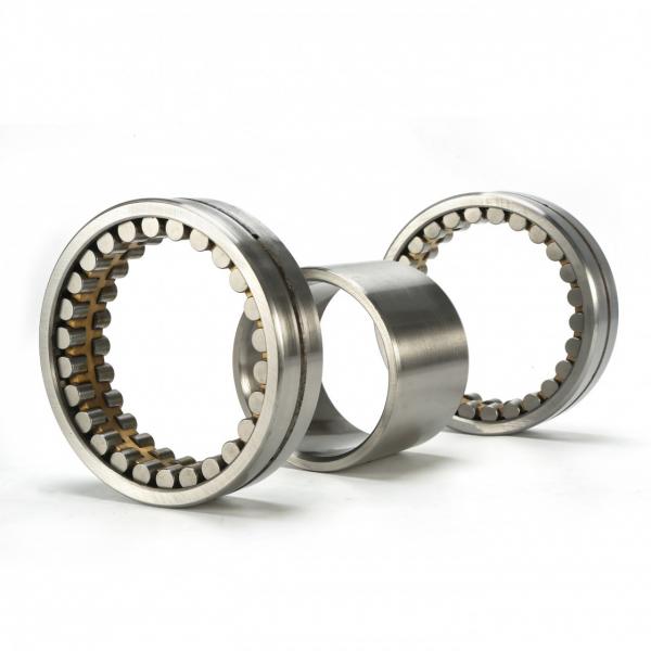 2.165 Inch | 55 Millimeter x 3.937 Inch | 100 Millimeter x 0.827 Inch | 21 Millimeter  NSK NJ211M  Cylindrical Roller Bearings #1 image