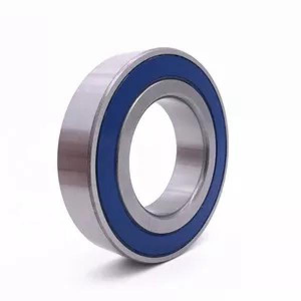 45 mm x 100 mm x 36 mm  FAG NUP2309-E-TVP2  Cylindrical Roller Bearings #2 image
